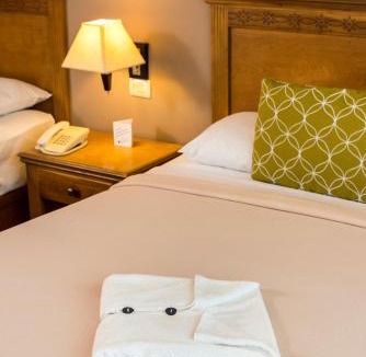 Merida Hotel | Tecnohotel Mérida Norte