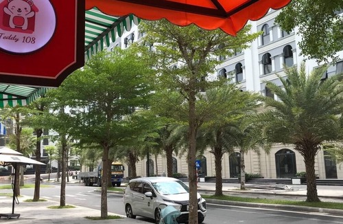 Ganh Dau Apartment | Teddy 108 Homestay 2-Green