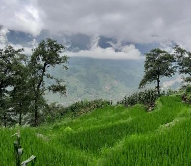 Sa Pa House | tee Homestay hmong