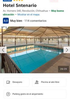 Chihuahua Hotel | Tello de luks