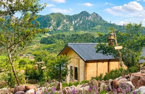 Moc Chau Cabin | Thảnh Thơi homestay- Mộc Châu