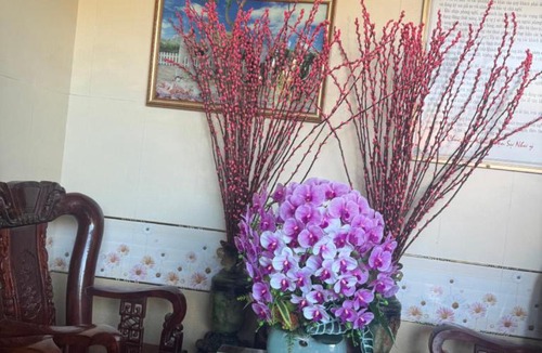 Ha Tinh Hotel | Thanh Binh Hotel