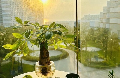 Khanh Hoa Apartment | The Arena Sea view - SEAB0330