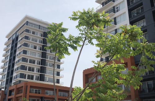 North Hotel Zone Apartment | The Green Loft, amazing New Studio