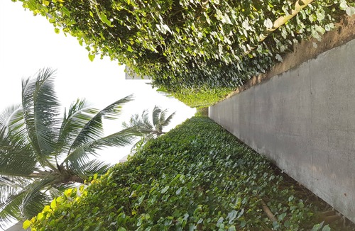 Ngu Hanh Son Villa | The Naman Retreat,1Bedrooms Villas Garden View