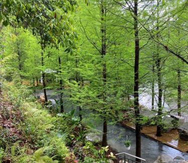 Xinshe Bed & Breakfast | The Pines