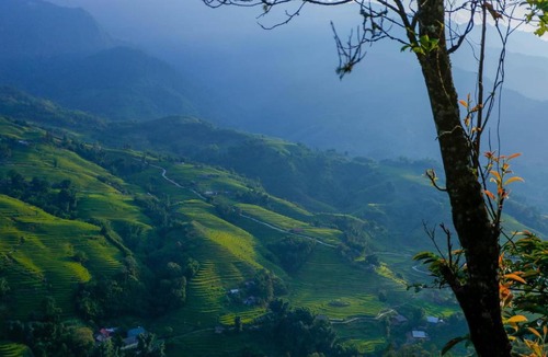 Hau Thao House | Tiny Homestay SaPa