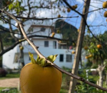 Moc Chau Hotel | Titanic Mộc Châu
