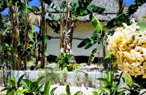 Izamal Apartment | Toktli Mayan Village Origins