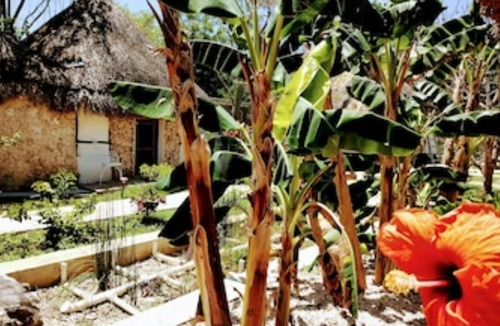 Izamal Apartment | Toktli Mayan Village Origins