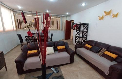 Toluca City-Centre House | Toluca Centrica House