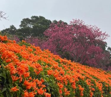 Gongguan House | Tong Xin Farmstay