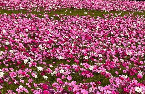 Gongguan House | Tong Xin Farmstay