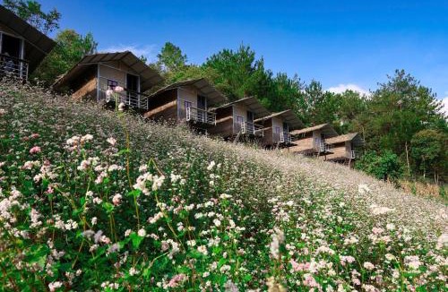 Mu Cang Chai House | Top view La Pan Tan