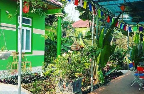 Thai Hoa House | Tran's Farmhouse