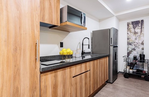 Anahuac Apartment | Tranquilo Departamento en Polanco 1 Hab| 811