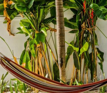 Xul-Ha House | Tropical Garden Villa with Dome Lounge near Lagoon