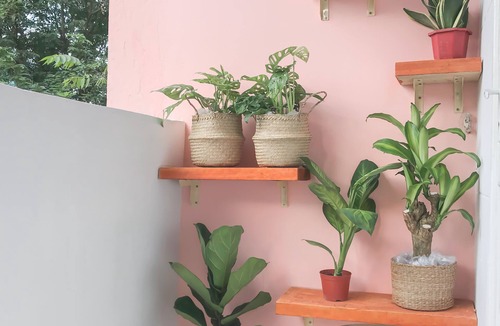 Dong Khoi Apartment | TROPINKAL055/PINK RAINFOREST IN THE HEART OF HCM