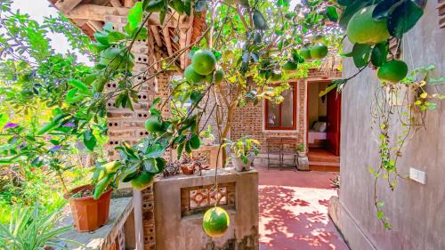 Hoa Lu Cabin | Tuan Nam Homestay