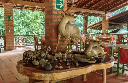 Mascota Cabin | UMA PARADISE