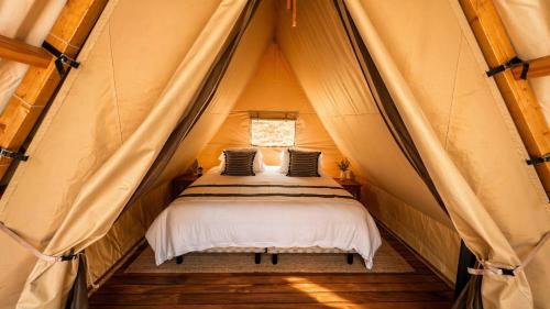Amatlan Other | VASTU Tepoztlán