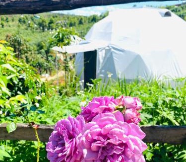 Kon Plong House | Ventosa HomeFarm - Venuestay