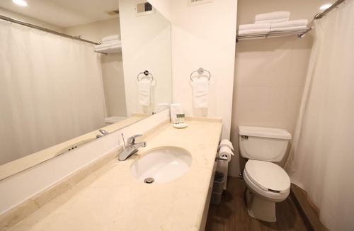 Zona Centro Hotel | Victoria Inn Hotel Express