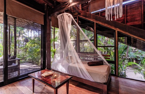 Zona Hotelera Cabin | Vida Silvestre Tulum