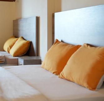 Da Lat Hotel | VieAn House Villa Da Lat