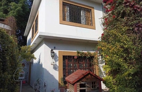 Santa Ursula Coapa House | Villa Jacarandas