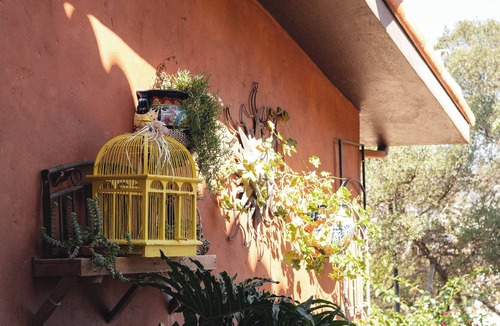 San Antonio de las Minas Ski Chalet | Viña Calabria Golondrina Junior Suite with Patio