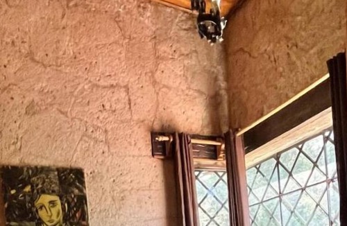 Huasca De Ocampo Cabin | Vrbo Property