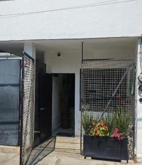 Coyoacan Apartment | Walk to Estadio Azteca! World Cup Secure Loft 2p
