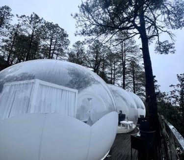 Creel Ski Chalet | Wooden Inn - Cabañas Boutique y Bubble Glamping en Creel