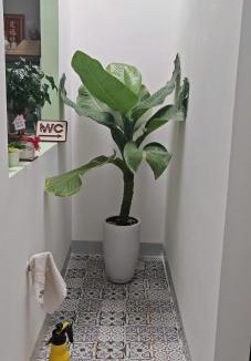 Pleiku Apartment | Xù Homestay
