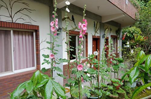 Nanzhuang House | Yi Jia Yuan Homestay