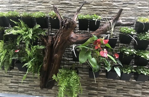 Taitung City Centre Bed & Breakfast | Yuan Places