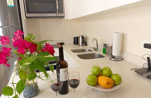 Luis Donaldo Colosio Condo | Z29- Penthouse Downtown Playa 3 Bedrooms