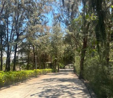 Long Hai Villa | Zenna villa long Hải