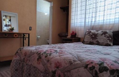 Centro Apartment | Zihua 360