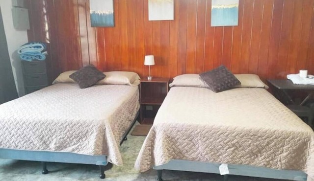 1 Comfy Dual: Convenience & Comfort Galore & 2 Nice and comfortable central apt