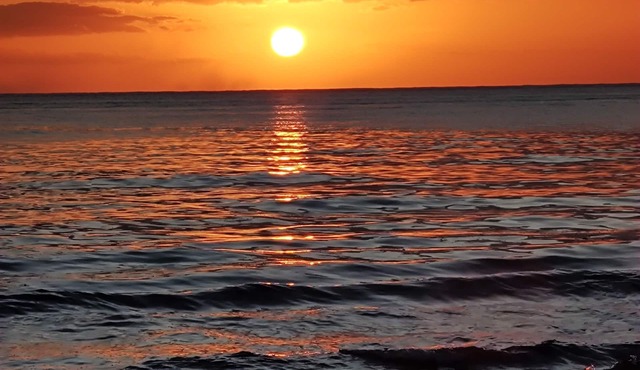 129Nght Sep/Oct Cozumel 2 Bdrs Villa Beach/OceanFront Snorkeling Diving Paradise