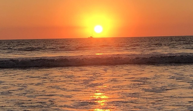 3 min walk to beach, seasonal/long term ok, cats ok, quiet, a/c, large pool