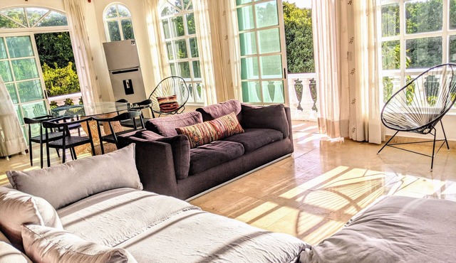 9 Bed 6bath Pool, Roof lounge, Beach Best location in Playa Walk to everything