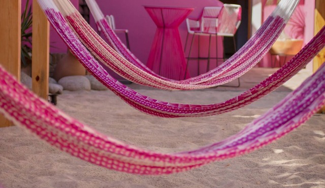 Acogedora Habitación EN EL Corazón DE Oaxaca