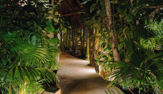 Aldea Coba a Comfortable Sleep in the Jungle