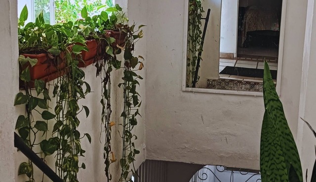 Alexandross Hostel BnB