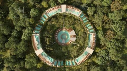 Alof Studio in the Jungle
