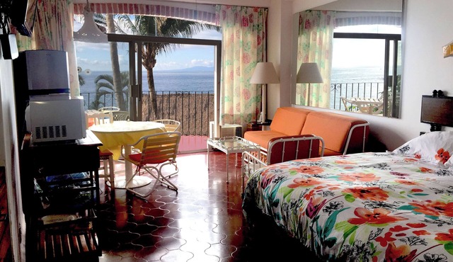Amazing Beach, Incredible View, Away From the Crowd, Close to Old Town Vallarta