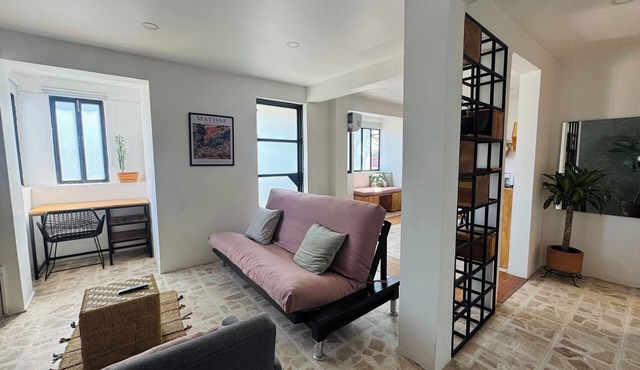 Apartment with AC in Colonia Reforma (pet friendly) 30 minutes from downtown